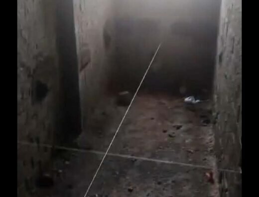 مبيض محارة